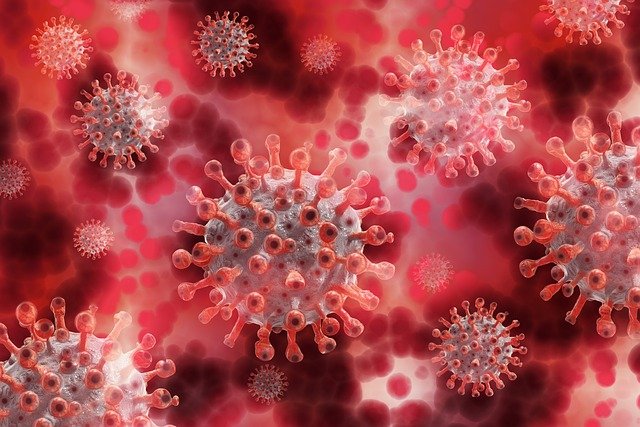 4 natürliche Wege um dein Immunsystem gegen das Coronavirus (COVID-19) zu stärken!