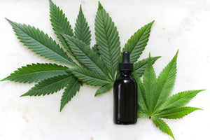 Häufig gestellte Fragen zu CBD: